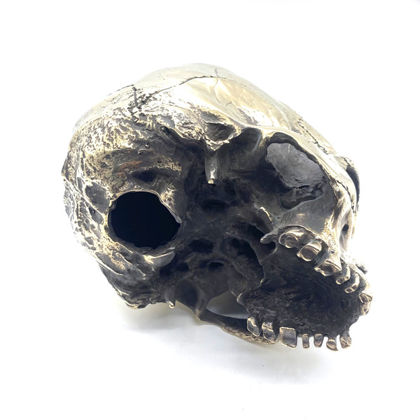 Handmade Brass Skull Heads Statue,Brass Skull Figurine,House&Office Decorative Ornament,Artistic Sculpture