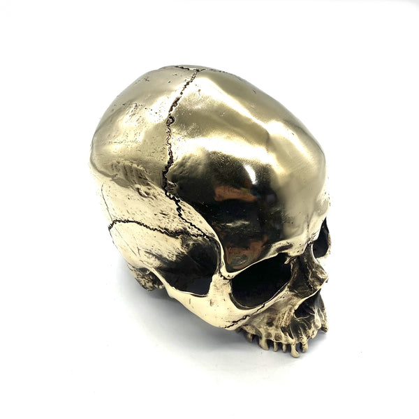 Handmade Brass Skull Heads Statue,Brass Skull Figurine,House&Office Decorative Ornament,Artistic Sculpture