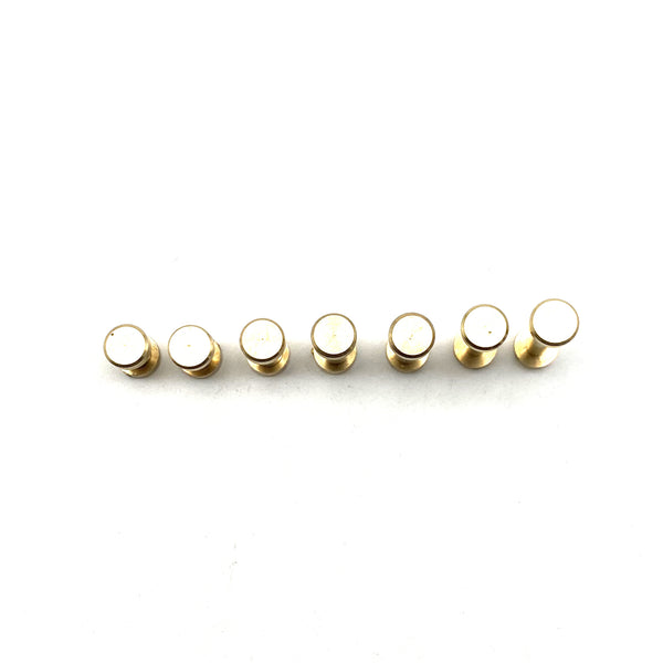 6mm Diameter Post Brass Chicago Screw Leather Crafting Screw Rivets