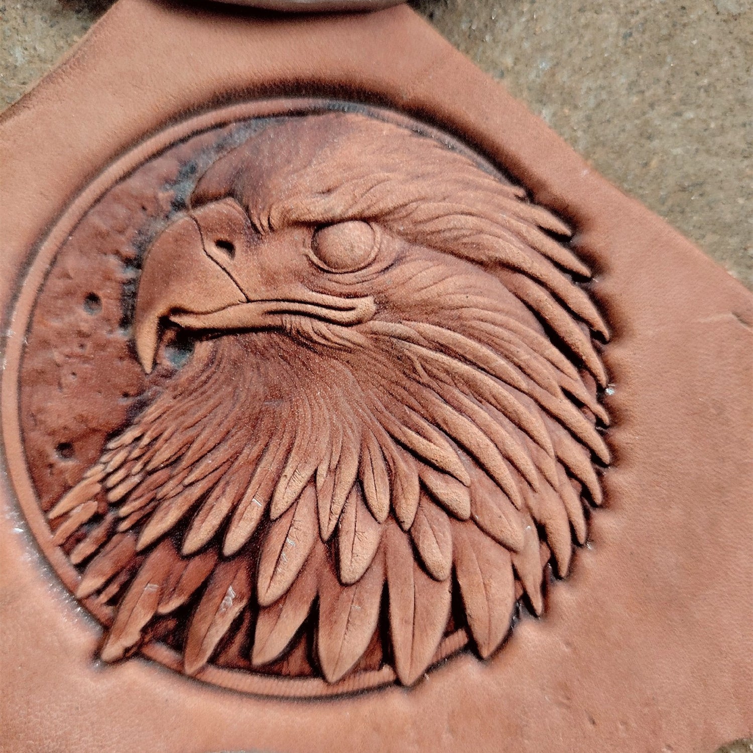 Leather Shaping Mold Horse Head,Eagle Leather Embossed Mold,Veg Tanned Cowhide Cold Press Stamp Mold 