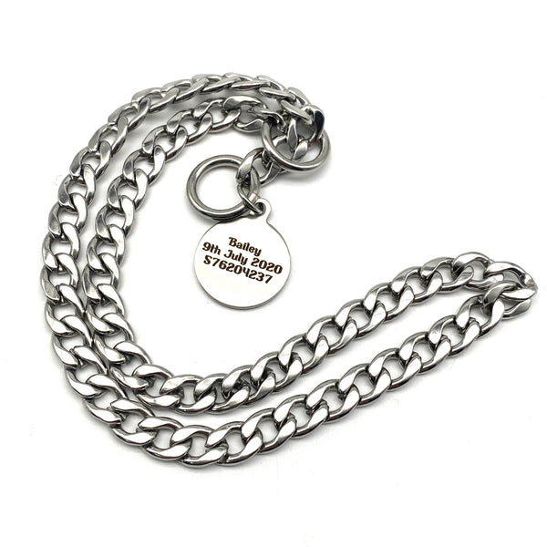 Stainless Choke Chain Collar with Customized Name Tag,Pets Tag Necklace