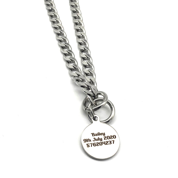 Stainless Choke Chain Collar with Customized Name Tag,Pets Tag Necklace