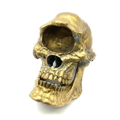 Brass Cyclops Sculpture One-Eye Skull Heads 1:1 Statue,Handmade Brass Skull Figurine,House&Office Decorative Ornament,Artistic Sculpture