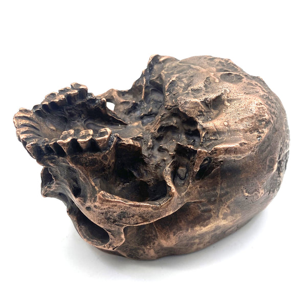 Antique Copper Skull Chalice & Ashtray-Gothic Decor for Tattoo Shops,Bar Accessories,Dark Academia Home Decor,Unique Memento Mori Sculpture