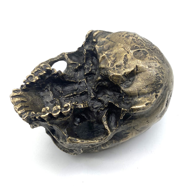 Antique Brass Skull Planter&Ashtray-Multi-Functional Decor for Keys,Succulents or Cigars, Gothic Home Desk Organizer,Halloween Gift for Men